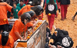 The Battle of the Oranges